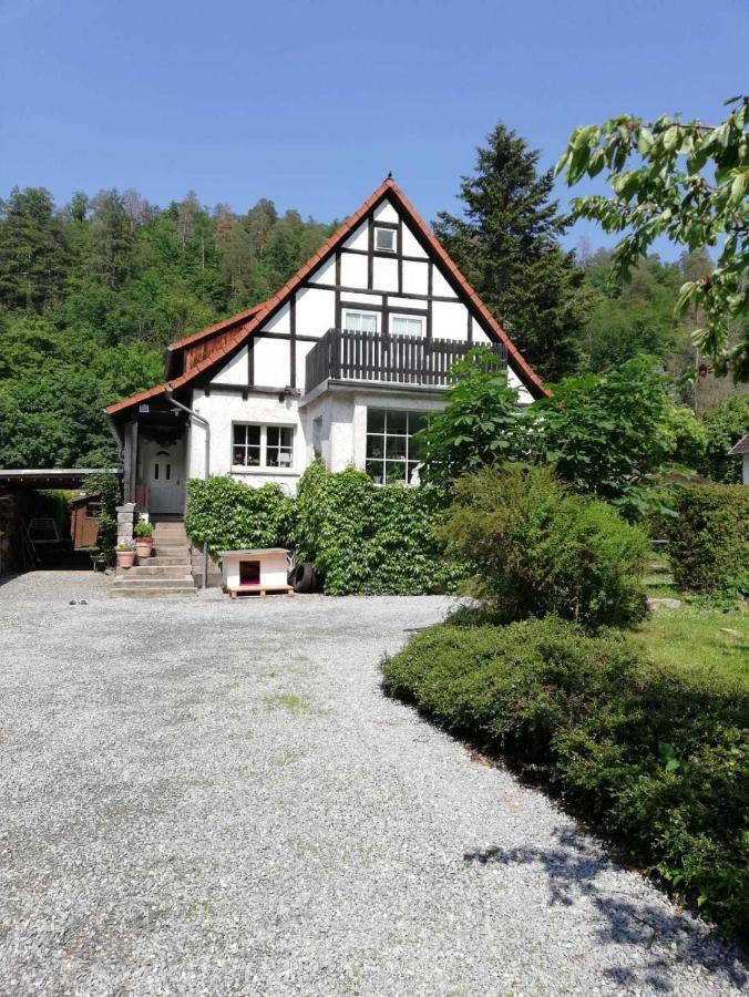 Ferienwohnung Natur Pur Muehlental Wernigerode Eksteriør bilde