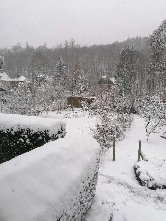 Ferienwohnung Natur Pur Muehlental Wernigerode Eksteriør bilde