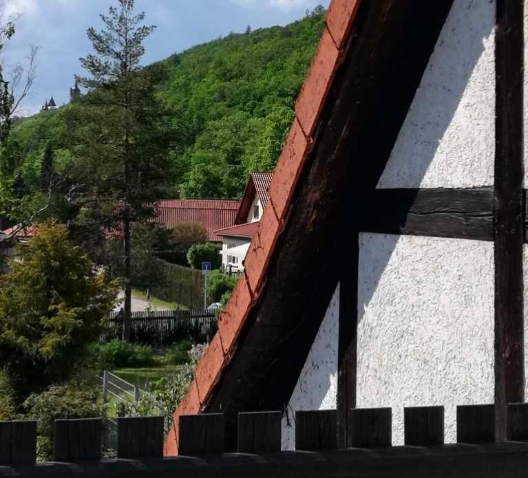 Ferienwohnung Natur Pur Muehlental Wernigerode Eksteriør bilde