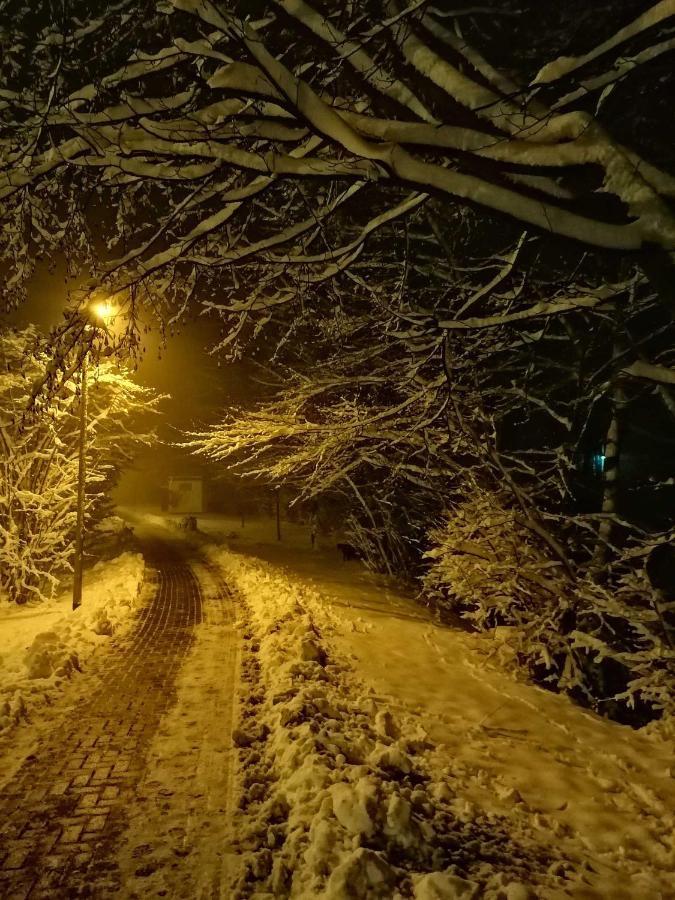 Ferienwohnung Natur Pur Muehlental Wernigerode Eksteriør bilde